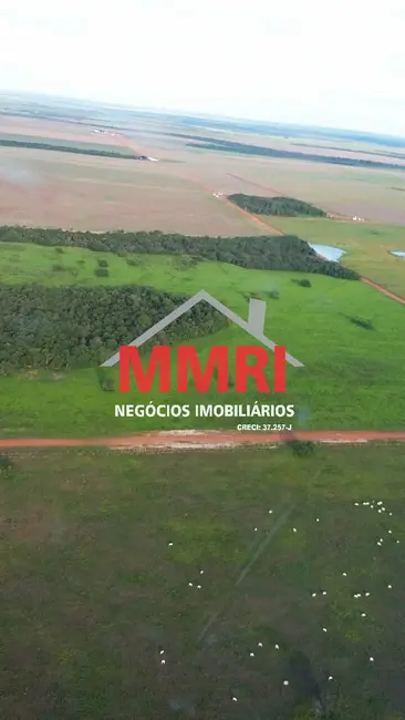 Foto 2 de Fazenda / Haras à venda, 33000m2 em Centro Histórico, Porto Alegre - RS