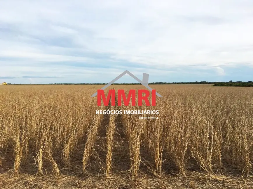 Foto 4 de Fazenda / Haras à venda, 33000m2 em Centro Histórico, Porto Alegre - RS