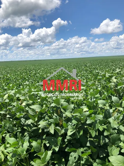 Foto 3 de Fazenda / Haras à venda em Setor Residencial Sul, Sinop - MT