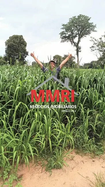 Foto 3 de Fazenda / Haras à venda em Campo Ere - SC