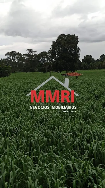 Foto 5 de Fazenda / Haras à venda em Campo Ere - SC