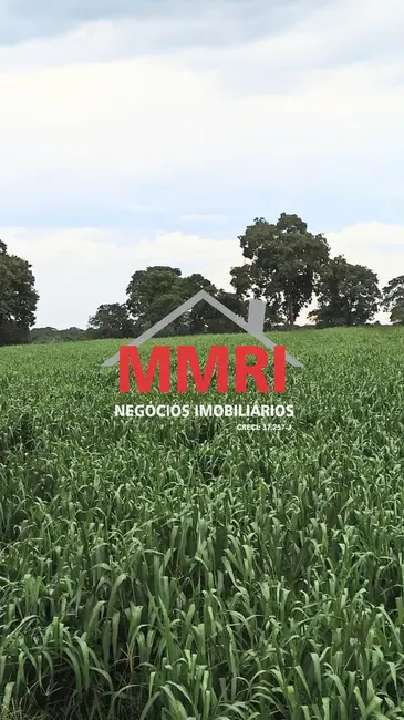 Foto 2 de Fazenda / Haras à venda em Campo Ere - SC