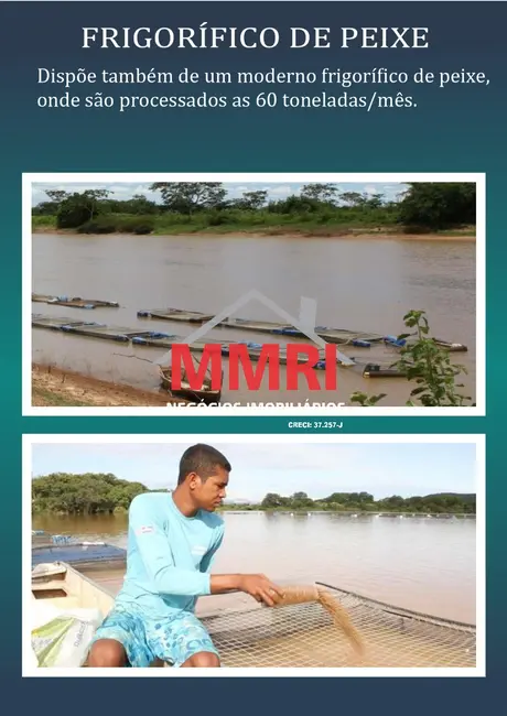 Foto 8 de Fazenda / Haras à venda, 20000m2 em Porto Seguro - BA