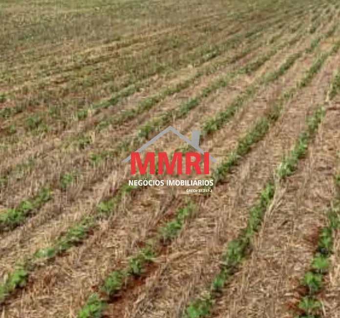 Foto 2 de Fazenda / Haras à venda, 653m2 em Ivaipora - PR