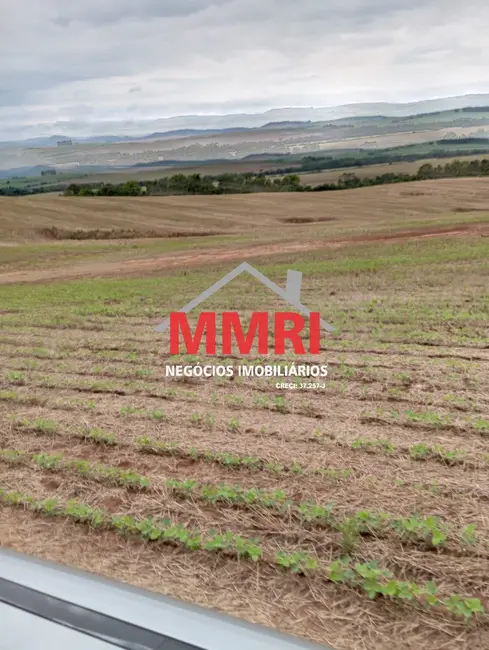 Foto 8 de Fazenda / Haras à venda, 653m2 em Ivaipora - PR
