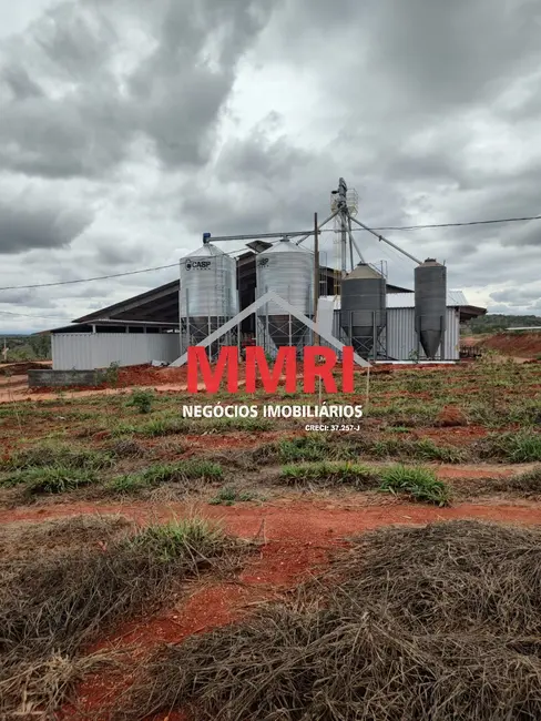 Foto 5 de Fazenda / Haras à venda, 800m2 em Centro, Curvelo - MG