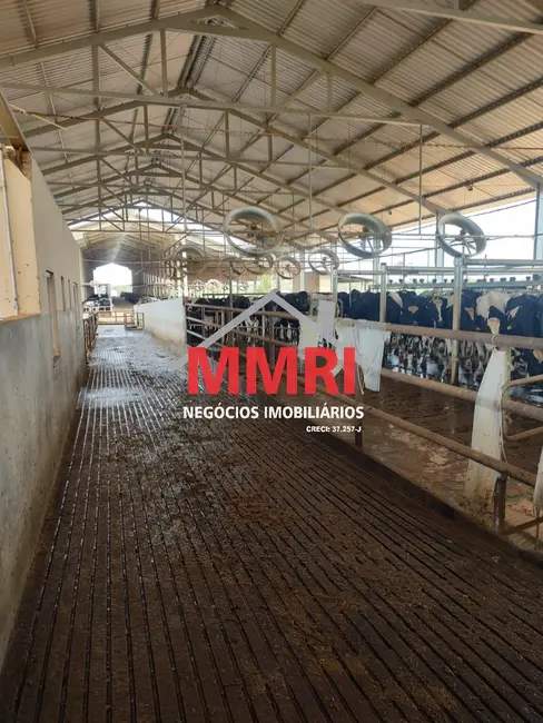 Foto 7 de Fazenda / Haras à venda, 800m2 em Centro, Curvelo - MG