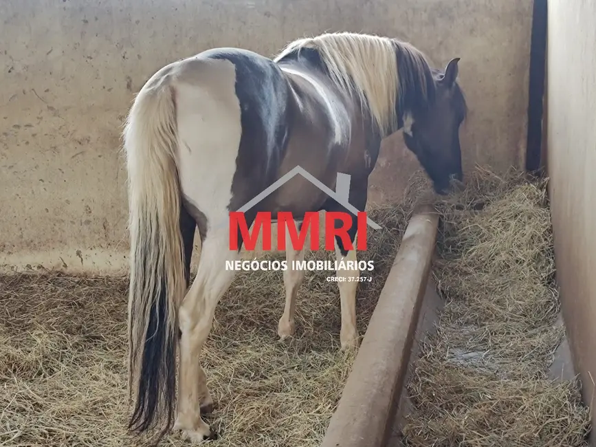 Foto 2 de Fazenda / Haras à venda, 800m2 em Centro, Curvelo - MG