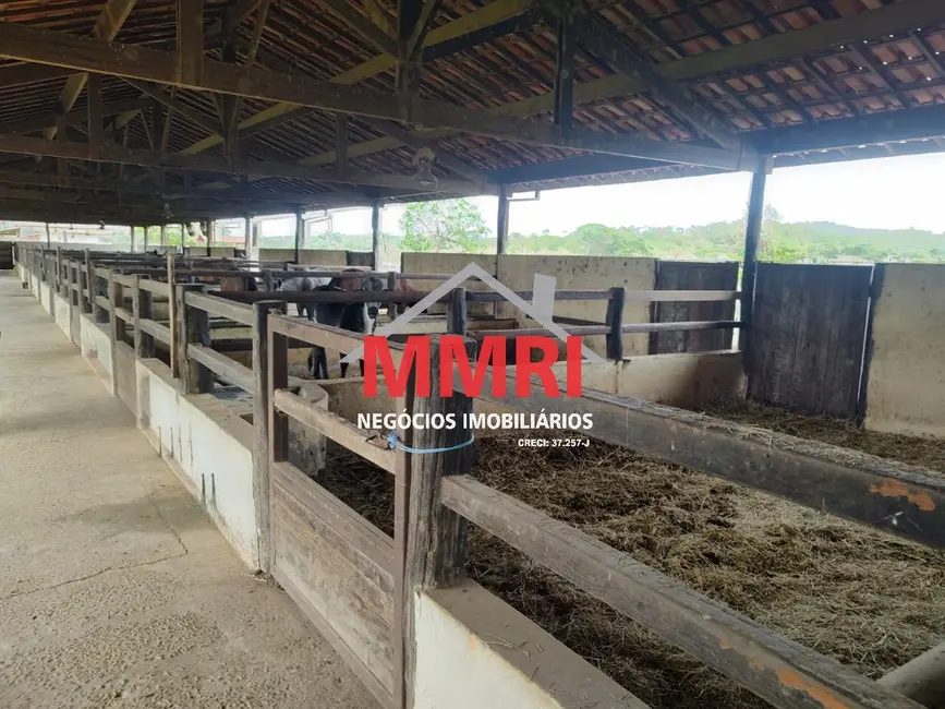 Foto 6 de Fazenda / Haras à venda, 800m2 em Centro, Curvelo - MG