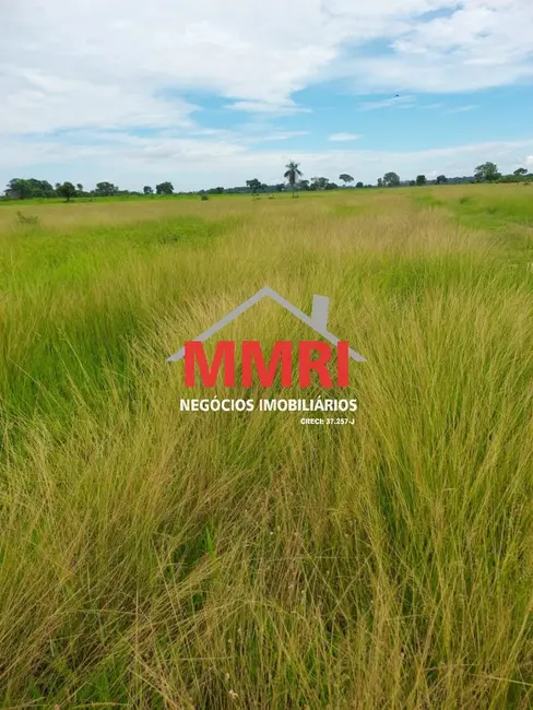 Foto 7 de Fazenda / Haras à venda, 512m2 em Cassilandia - MS