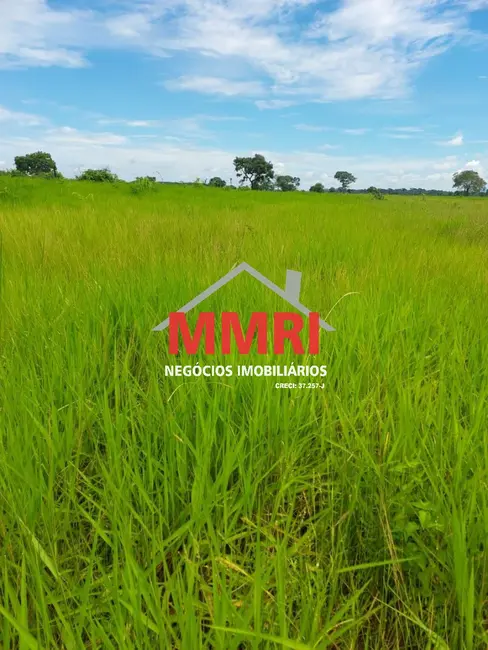 Foto 4 de Fazenda / Haras à venda, 512m2 em Cassilandia - MS