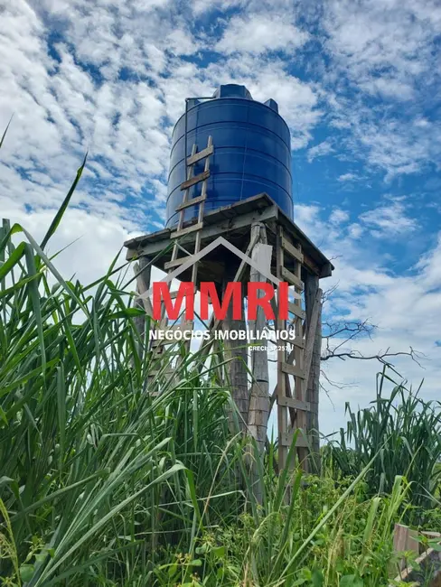 Foto 6 de Fazenda / Haras à venda, 512m2 em Cassilandia - MS