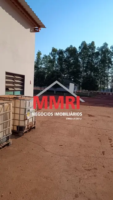 Foto 8 de Fazenda / Haras à venda em Campinapolis - MT