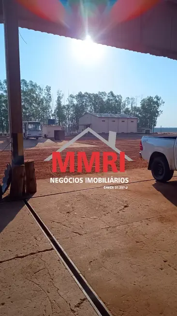 Foto 6 de Fazenda / Haras à venda em Campinapolis - MT