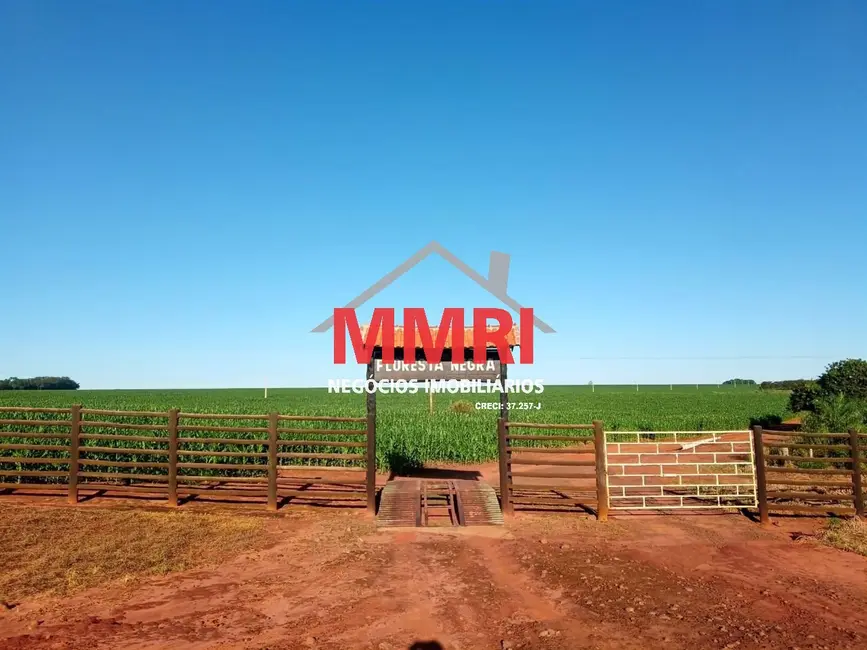 Foto 7 de Fazenda / Haras à venda em Sete Quedas - MS