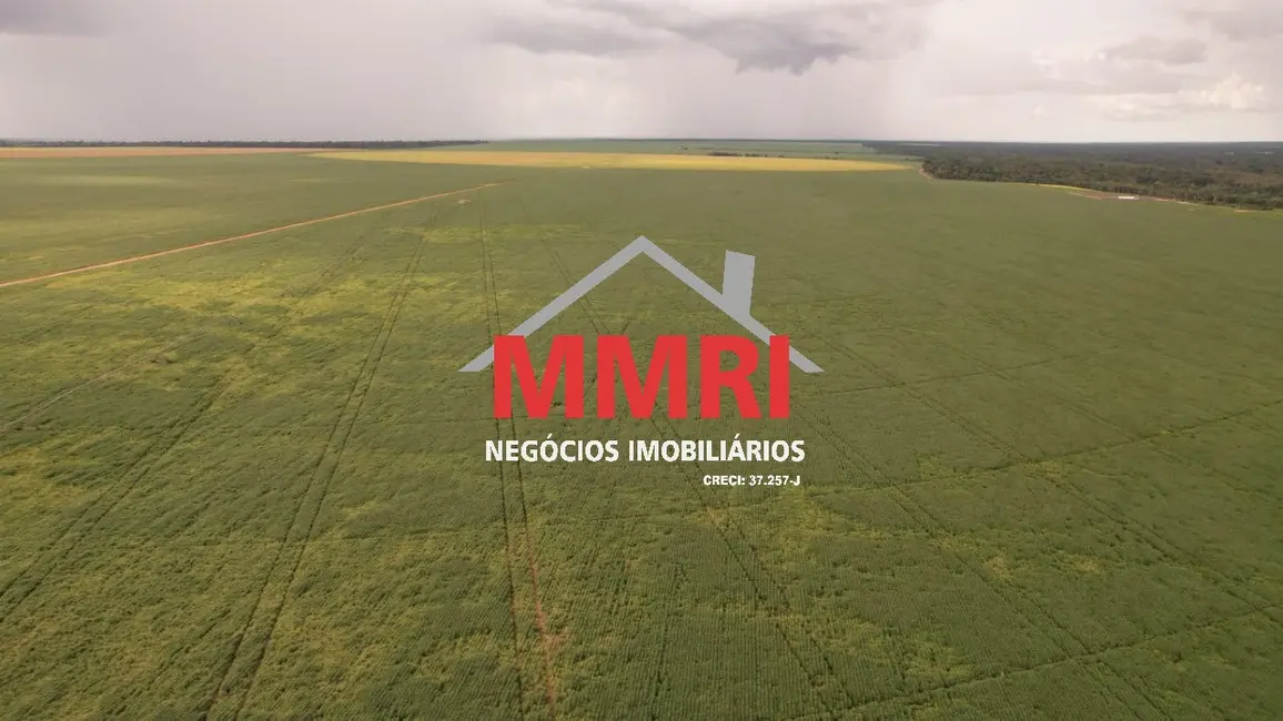 Foto 3 de Fazenda / Haras à venda, 3625m2 em Gaucha Do Norte - MT