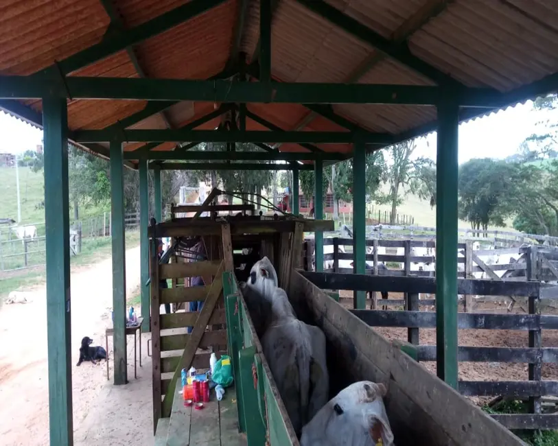 Foto 1 de Fazenda / Haras à venda, 140m2 em Área Rural de Itapetininga, Itapetininga - SP