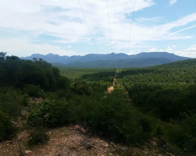 Foto 7 de Fazenda / Haras à venda, 99300m2 em Paratinga - BA