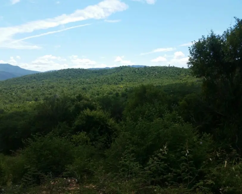 Foto 6 de Fazenda / Haras à venda, 99300m2 em Paratinga - BA