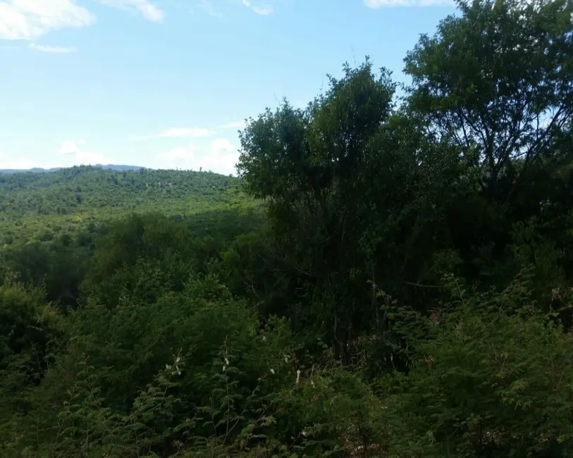 Foto 8 de Fazenda / Haras à venda, 99300m2 em Paratinga - BA