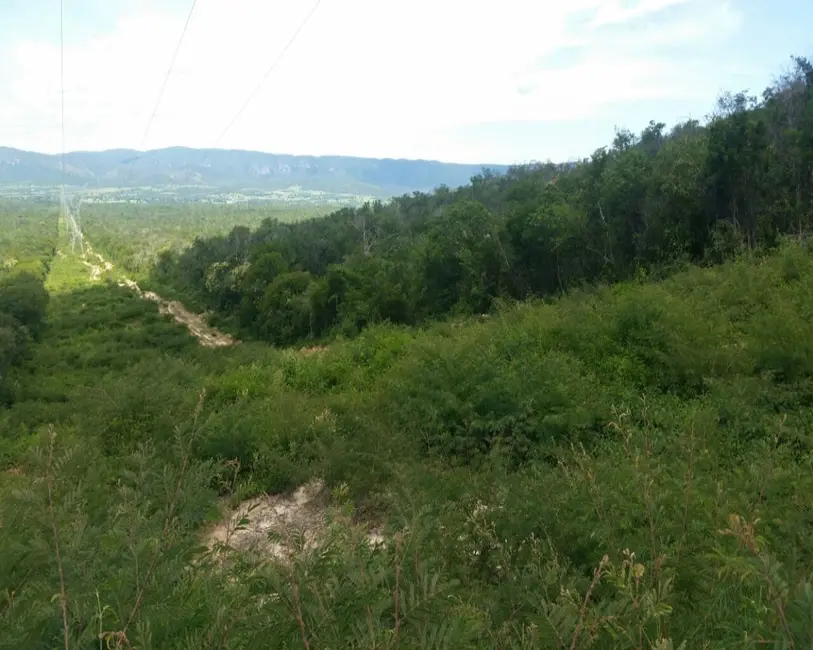Foto 3 de Fazenda / Haras à venda, 99300m2 em Paratinga - BA