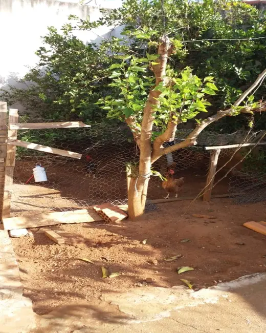 Foto 2 de Casa com 2 quartos à venda, 250m2 em Vila Regina, Itapetininga - SP