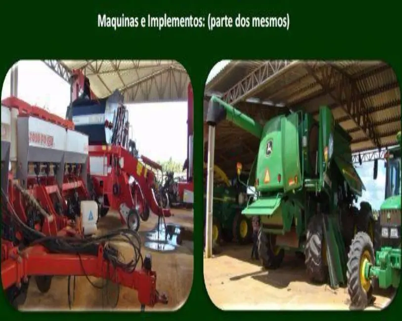 Fazenda / Haras com 1 quarto à venda, 11829m2 em Goiás - GO - imagem 9 Foto 9 de Fazenda / Haras com 1 quarto à venda, 11829m2 em Goiás - GO