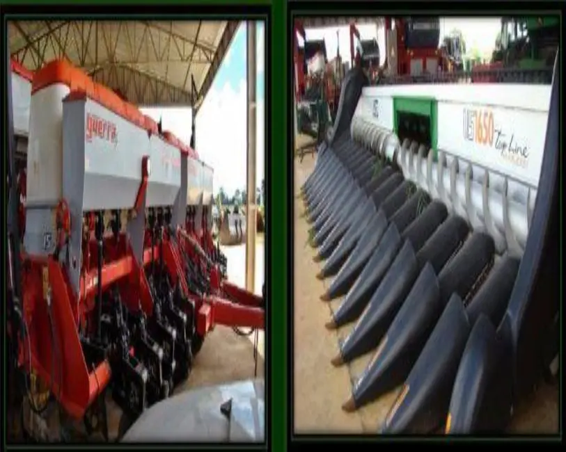 Fazenda / Haras com 1 quarto à venda, 11829m2 em Goiás - GO - imagem 8 Foto 8 de Fazenda / Haras com 1 quarto à venda, 11829m2 em Goiás - GO