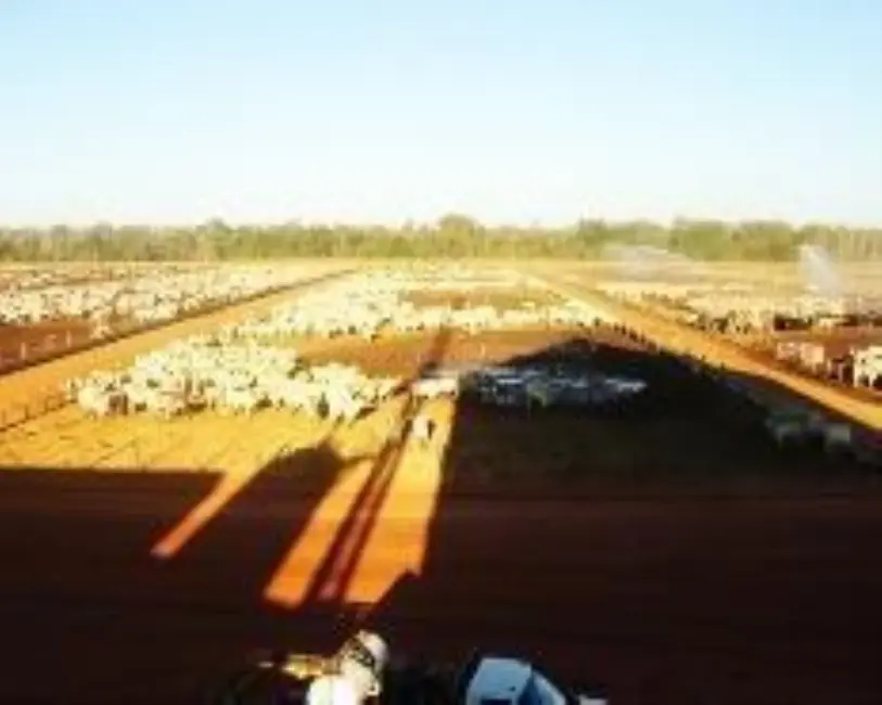 Fazenda / Haras com 1 quarto à venda, 11829m2 em Goiás - GO - imagem 3 Foto 3 de Fazenda / Haras com 1 quarto à venda, 11829m2 em Goiás - GO