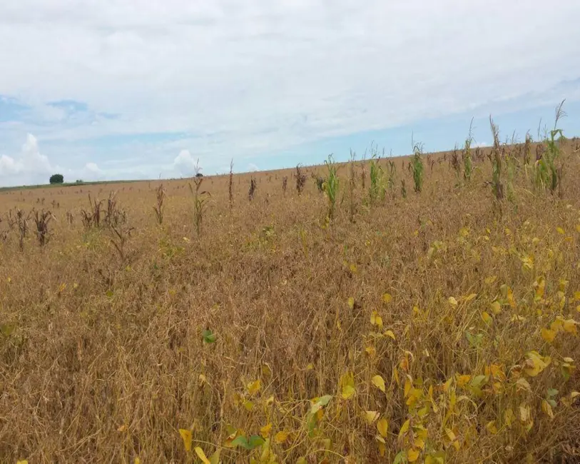 Foto 6 de Fazenda / Haras com 1 quarto à venda, 200m2 em Jumirim - SP