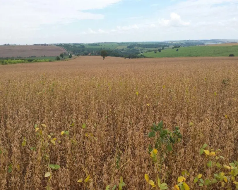 Foto 8 de Fazenda / Haras com 1 quarto à venda, 200m2 em Jumirim - SP