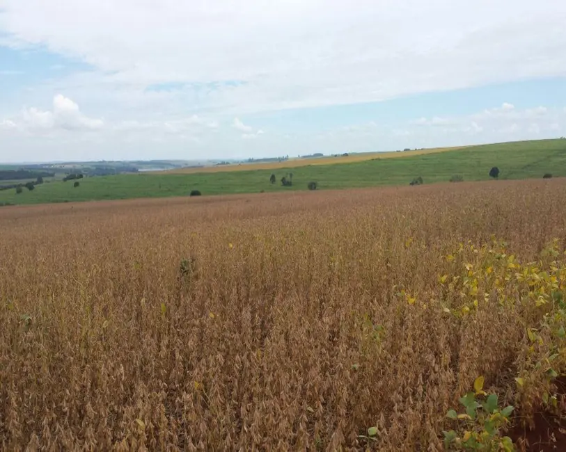 Foto 1 de Fazenda / Haras com 1 quarto à venda, 200m2 em Jumirim - SP