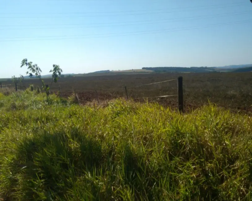 Foto 9 de Fazenda / Haras com 1 quarto à venda, 623m2 em Itapeva - SP
