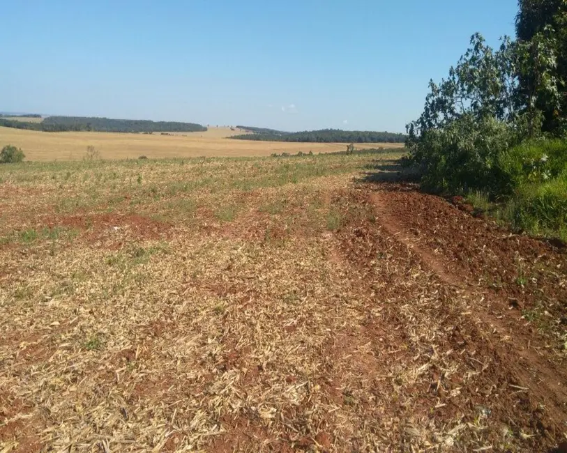 Foto 2 de Fazenda / Haras com 1 quarto à venda, 623m2 em Itapeva - SP