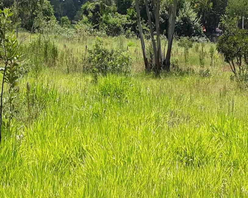 Foto 2 de Terreno / Lote à venda, 11500m2 em Aracoiaba Da Serra - SP