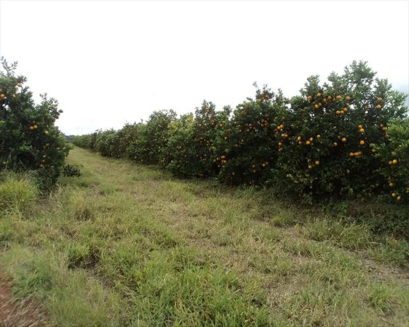 Foto 7 de Terreno / Lote à venda, 9m2 em Porto, Capela Do Alto - SP