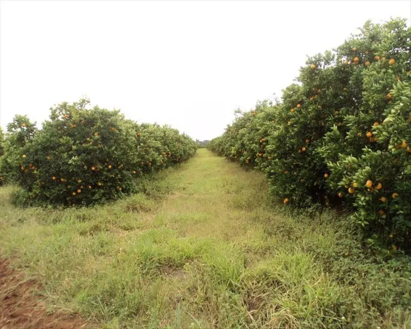 Foto 5 de Terreno / Lote à venda, 9m2 em Porto, Capela Do Alto - SP