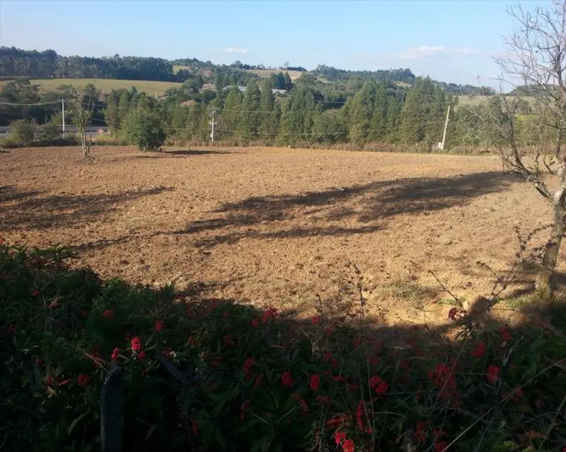Foto 2 de Chácara com 4 quartos à venda, 31000m2 em Aracoiaba Da Serra - SP