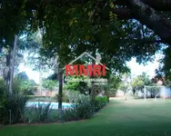 Imagem 12