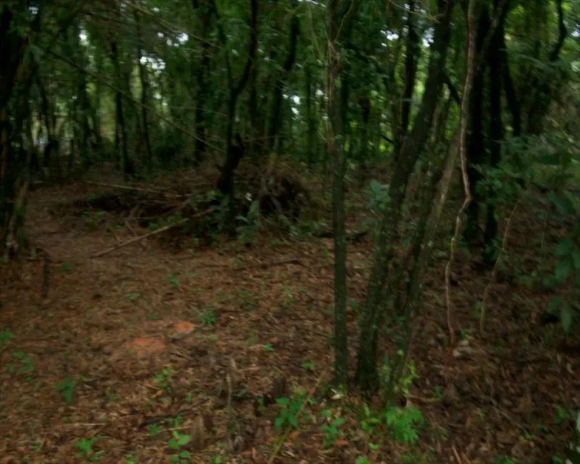 Foto 2 de Terreno / Lote à venda, 11000m2 em Aracoiaba Da Serra - SP