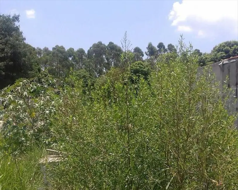 Foto 8 de Terreno / Lote à venda, 2000m2 em Aracoiaba Da Serra - SP