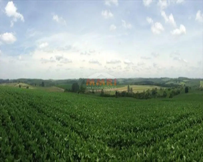Fazenda / Haras com 4 quartos à venda, 150m2 em Centro, Itapetininga - SP - imagem 8 Foto 8 de Fazenda / Haras com 4 quartos à venda, 150m2 em Centro, Itapetininga - SP