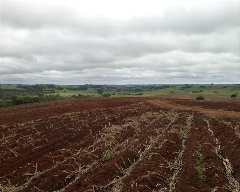 Fazenda / Haras com 6 quartos à venda, 364m2 em Centro, Itapetininga - SP - imagem 3 Foto 3 de Fazenda / Haras com 6 quartos à venda, 364m2 em Centro, Itapetininga - SP