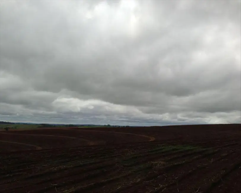 Fazenda / Haras com 6 quartos à venda, 364m2 em Centro, Itapetininga - SP - imagem 5 Foto 5 de Fazenda / Haras com 6 quartos à venda, 364m2 em Centro, Itapetininga - SP