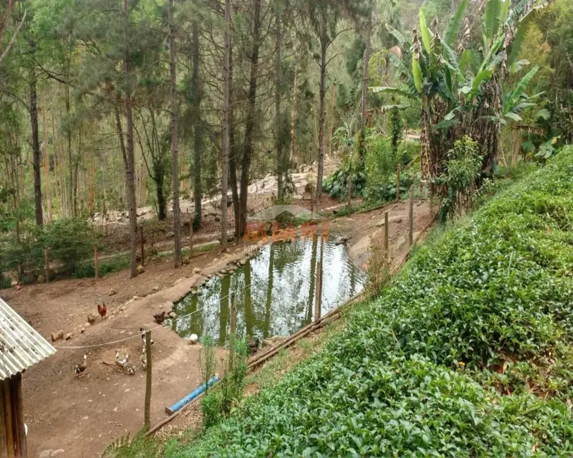 Sítio / Rancho à venda em Salto De Pirapora - SP - imagem 4 Foto 4 de Sítio / Rancho à venda em Salto De Pirapora - SP