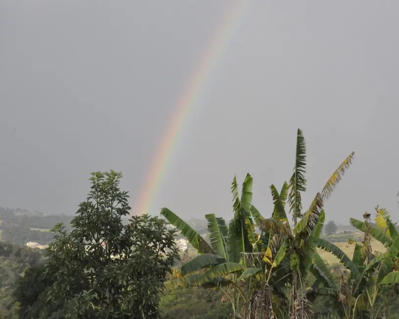 Foto 6 de Sítio / Rancho com 3 quartos à venda, 12500m2 em Aracoiaba Da Serra - SP
