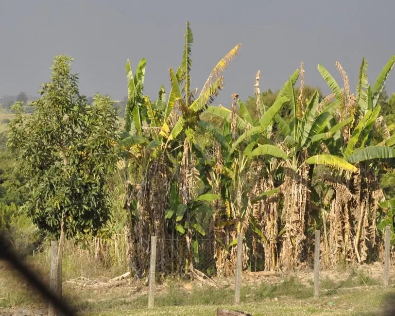 Foto 4 de Sítio / Rancho com 3 quartos à venda, 12500m2 em Aracoiaba Da Serra - SP