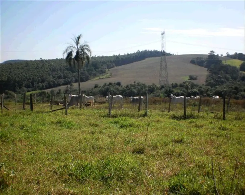 Foto 1 de Sítio / Rancho com 1 quarto à venda, 10m2 em Pilar Do Sul - SP