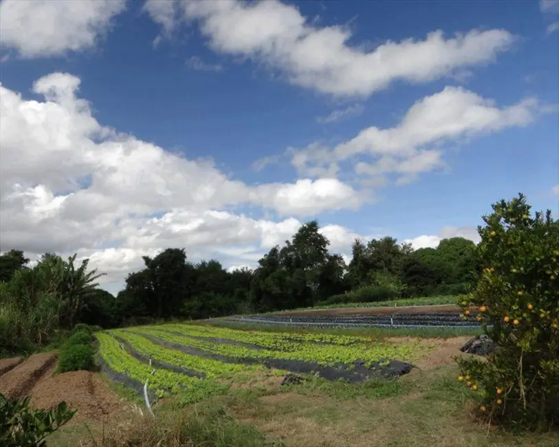 Foto 6 de Sítio / Rancho com 1 quarto à venda, 9m2 em Aracoiaba Da Serra - SP