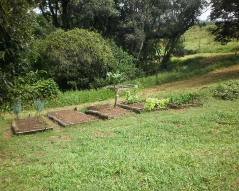 Sítio / Rancho com 1 quarto à venda em Pilar Do Sul - SP - imagem 7 Foto 7 de Sítio / Rancho com 1 quarto à venda em Pilar Do Sul - SP